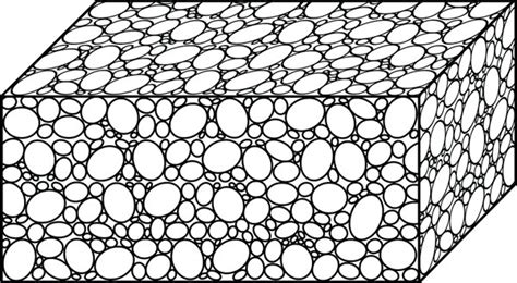  ไซลิส ZYGOMYXA  เป็นฟองน้ำที่น่าสนใจและมีรูพรุนมาก!